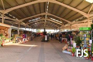 El Mercado de Telde visibiliza su compromiso contra la violencia de género/Francisco Javier Santana.